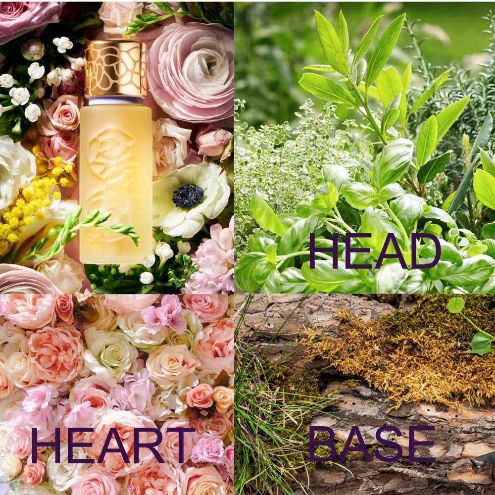 Αυθεντικά δείγματα αρωμάτων Houbigant Quelques Fleurs L'